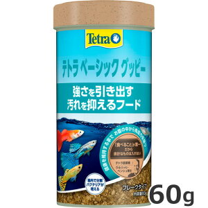 XyNguYWp Tetra eg x[VbN Obs[ 60g GT H