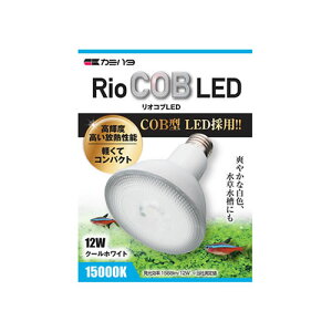 J~n^ RioCOB LED N[zCg@ƖCg W 