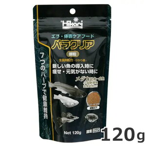 L[ Ђ pNA  120g _J ^Mы  GT
