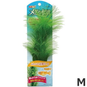 GEX i ӂӂY M lH CAEg Y ANAE