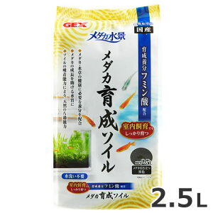 GEX _Ji _J琬\C 2.5L ꏰ ꍻ