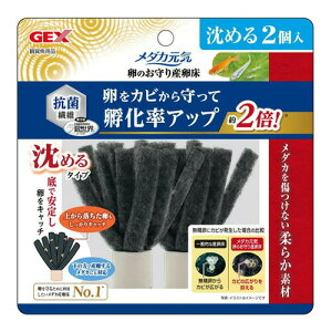 GEX _JC ̂Y ߂2 ̃Jrh~ @ _JY