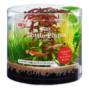 GEX i {gvc ^  CAEg ANZT IuWF