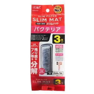 GEX oNeA X}bg 3 N tB^[  ANAE