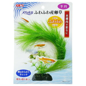 GEX i ӂӂY ~ lH CAEg Y ANAE