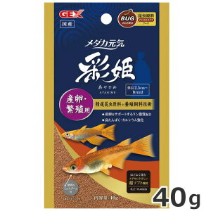 y[ցzGEX _JC ʕP YEɐBp 40g ߂  GT Y 