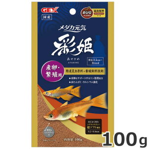 y[ցzGEX _JC ʕP YEɐBp 100g ߂  GT Y 