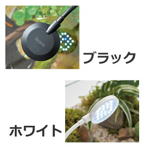 RguL ~jLED r[Y zCg/ubN ANAE eE Cg Ɩ WECp