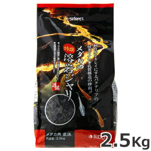 Xh[ _J̓In W 2.5kg ꍻ ꏰ