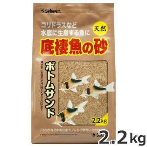 Xh[ ꐱ̍ {gTh 2.2kg ꍻ ꏰ VR