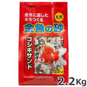 Xh[ ̃SVLTh 2.2kg ꍻ VR