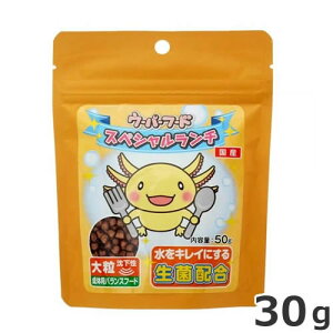 y[ցzj`hE E[p[t[h XyV` 嗱  50g ̗p ޗp t[h 