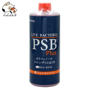 T~[Y PSB PLUS 1L
