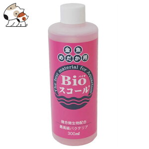 xebNWp BioXR[E߂p 300ml