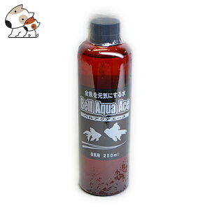 xebNWp xANAG[X p 250ml