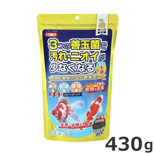 CgXC Rbg ̎H [  430g  c GT