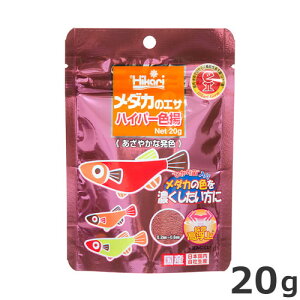 L[ _J̃GT nCp[Fg 20g _Jp Fg GT