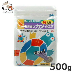 L[ ȃJ̃GT嗱 500g