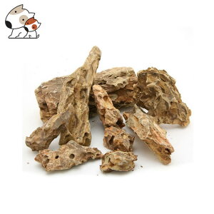 J~n^ CE΃CAEgZbg 1ll3܂