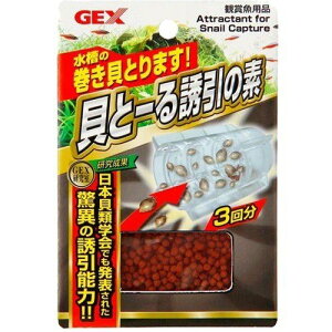 GEX LƁ[ Ȗf