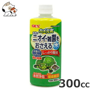 GEX JC̃jICEGۂ鐅 300cc