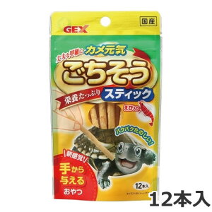 GEX JC XeBbN ѓ 12{ Jp t[h