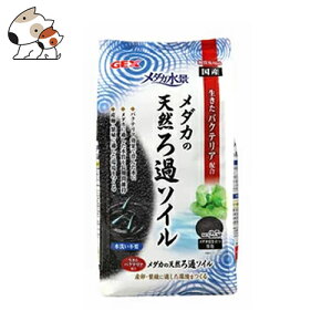 GEX _Ji@_Ĵ߃\C 2.5L