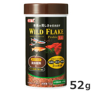 GEX Cht[N voCI ~j 52g  Fg Pʋ۔z GT