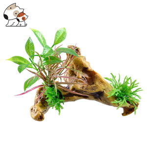 GEX t؃j[h