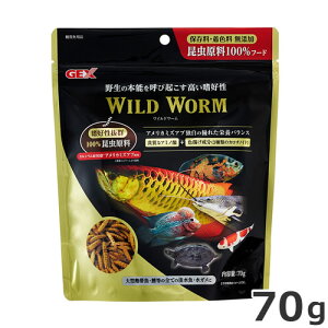 GEX Ch[ 70g W ^Mы  GT