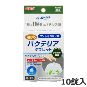 GEX xXgoCI n^ubg 10 ^p OXANAE 