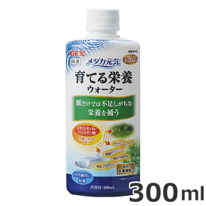 GEX _JC Ăh{EH[^[ 300ml _Jp t h{