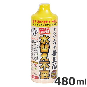 RguL łPʋ 480ml  ANAE