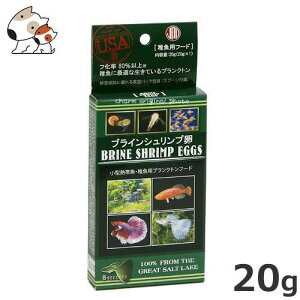 y[ցzj`hE uCVvGbOX 20g 