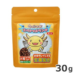 j`hE E[p[t[h XyV` 嗱  50g ̗p ޗp t[h