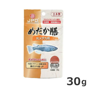 j`hE ߂V _Jp 30g _Jp GT