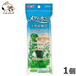 GEX _JiVRY