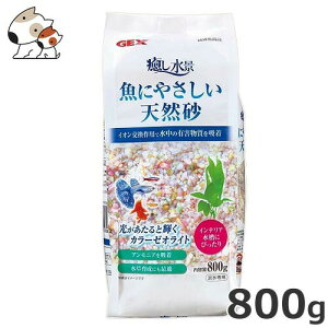 GEX iɂ₳VR 800g