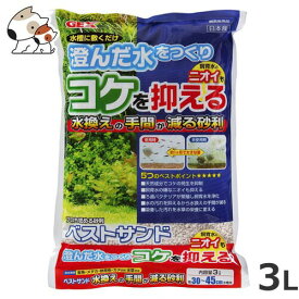 楽天市場 Gex ベストサンドの通販 楽天市場 Gex ベストサンドの通販