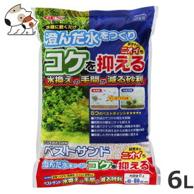 楽天市場 Gex ベストサンド 6lの通販