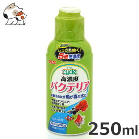 ★【今月のお買い得商品】GEX サイクル 250ml