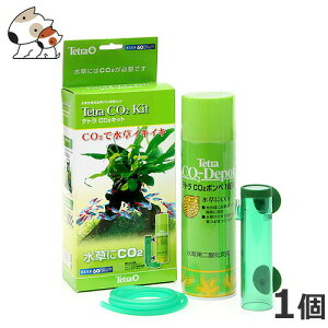 eg CO2Lbg 1R