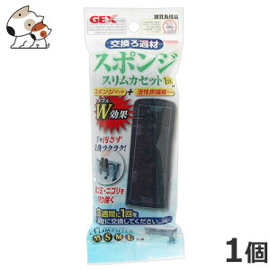 GEX XtB^[X|WJZbg 1P-N