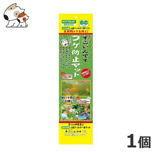 ���R�g�u�L �X�S�C���f�X�R�P�h�~�}�b�g