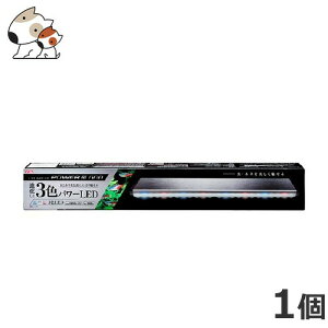 GEX NALEDPOWER600