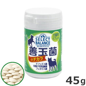 xbcE`CXEWp ZNgoX Pʋۂ̃`J L^ubg 45g ybgp Tvg