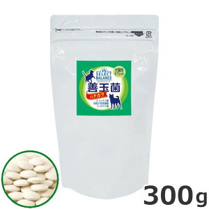 y[ցzxbcE`CXEWp ZNgoX Pʋۂ̃`J L^ubg 300g ybgp Tvg