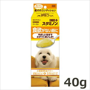 A[XEoCIP~J `CXvX X^~m H~Ȃ 40g