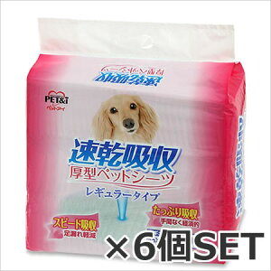 ŷizybgAC z ^ybgV[c M[ 100×6Zbg