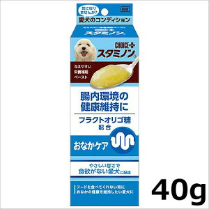 A[XEoCIP~J `CXvX X^~m ȂPA 40g